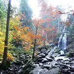 Chalet Nature Ressourcement 15 Pers 4 Etoiles Vosges-Gerardmer 勒索里