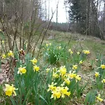 度假居 Chalet Nature Ressourcement 15 Pers 4 Etoiles Vosges-Gerardmer