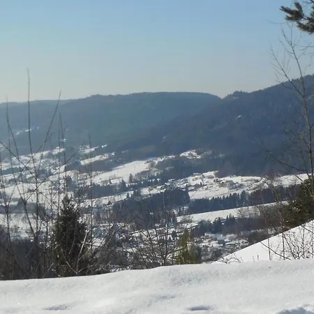 Chalet Nature Ressourcement 15 pers 4 étoiles VOSGES-GERARDMER Сasa de vacaciones Le Tholy