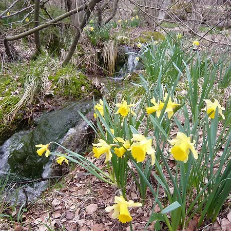 Chalet Nature Ressourcement 15 pers 4 étoiles VOSGES-GERARDMER * Le Tholy