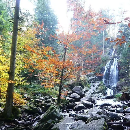 Chalet Nature Ressourcement 15 pers 4 étoiles VOSGES-GERARDMER Le Tholy