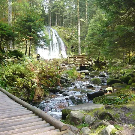 Chalet Nature Ressourcement 15 pers 4 étoiles VOSGES-GERARDMER Сasa de vacaciones Le Tholy
