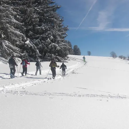 Сasa de vacaciones Chalet Nature Ressourcement 15 pers 4 étoiles VOSGES-GERARDMER