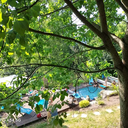 Chalet Nature Ressourcement 15 Pers 4 Etoiles Vosges-Gerardmer 르톨리