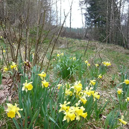 Сasa de vacaciones Chalet Nature Ressourcement 15 pers 4 étoiles VOSGES-GERARDMER