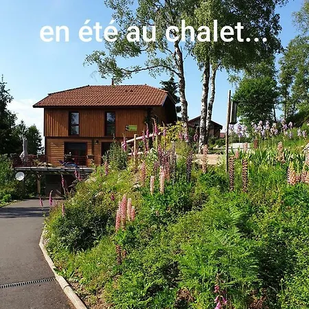 Сasa de vacaciones Chalet Nature Ressourcement 15 pers 4 étoiles VOSGES-GERARDMER Le Tholy
