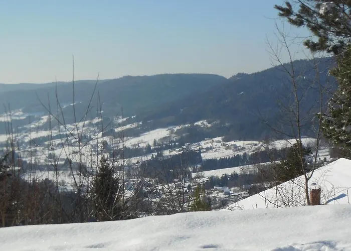 Chalet Nature Ressourcement 15 Pers 4 Etoiles Vosges-Gerardmer 펜션 르톨리
