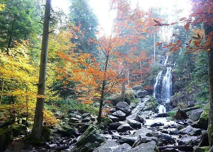 Chalet Nature Ressourcement 15 Pers 4 Etoiles Vosges-Gerardmer 르톨리