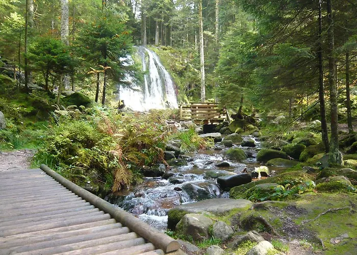 Chalet Nature Ressourcement 15 Pers 4 Etoiles Vosges-Gerardmer 펜션 르톨리