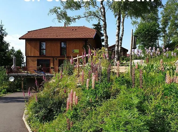 Dom wakacyjny Luxe 12 Personnes Sauna Vosges-gerardmer Le Tholy